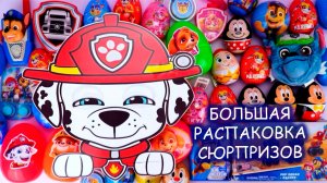 Распаковка игрушек - сюрпризов Щенячий патруль 🚓🚨🤪 Мультики для детей щенячий патруль