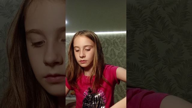 Стилус 2