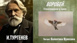 И. Тургенев «Воробей».Читает Валентина Шумихина.