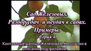 Сад Железовых. Разбор удач  и неудач в садах. Примеры. Серия 4.