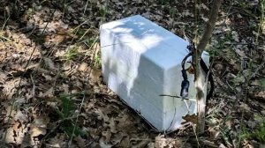Контейнер со взрывчаткой нашли после атаки ВСУ в Севастополе