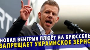 🔥 Новая Венгрия плюёт на Брюссель – запрещает Украинское зерно и заключает контракты на газ!