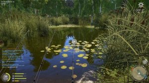Russian Fishing 4 175 серия средний улов карасей
