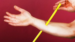 25 простых фокусов, которые может сделать каждый