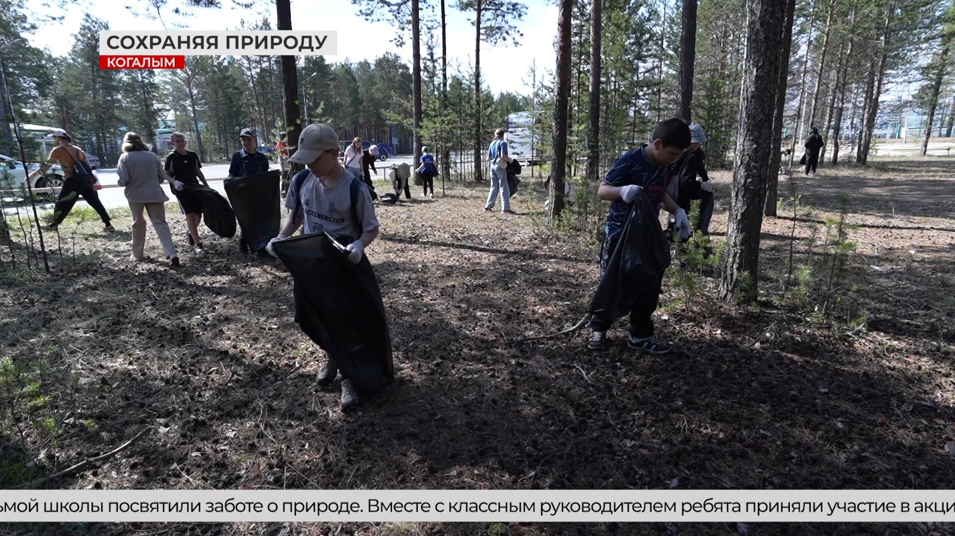 Школьники Когалыма провели субботник в лесном массиве смотреть онлайн