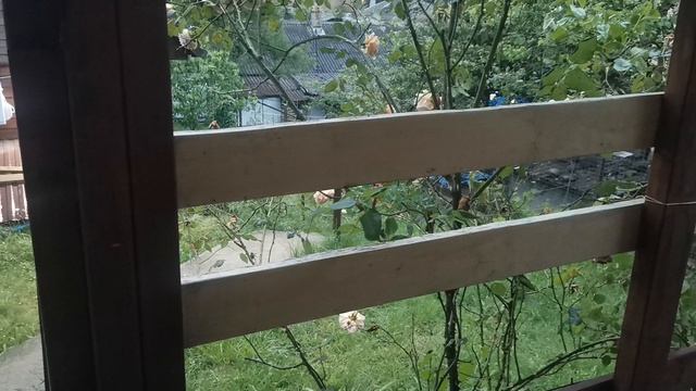СОЧИ ГОРНОЕ ЛОО УТРО 27.05.2026 смотреть онлайн