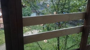 СОЧИ ГОРНОЕ ЛОО УТРО 27.05.2026