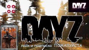 Dayzwill