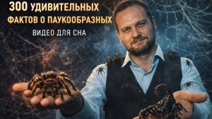 300 фактов о паукообразных. Видео для сна