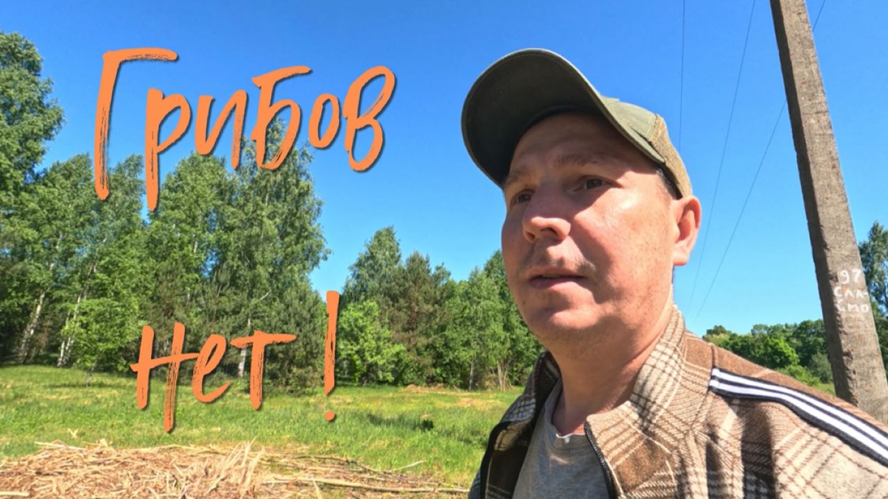 Грибов нет. смотреть онлайн