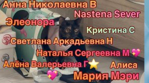 27-05-2026 МИСТИ СДЕЛАЛИ ОПЕРАЦИЮ 💛 СПАСИБО МОИМ ПОДПИСЧИКАМ 🥰СМОТРЕТЬ ДО КОНЦА !🥰💛💜🩷😘💖