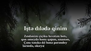 Aida İsayeva - Iştə dılədə qinim