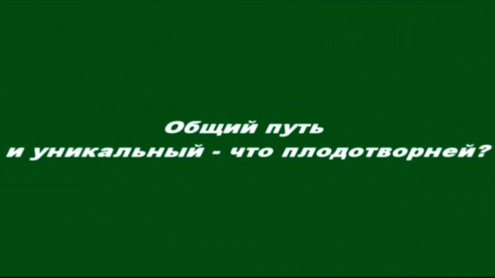 Оптинские старцы и святитель Игнатий. Общий путь и уникальный - что плодотворней?