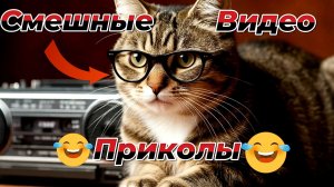 Смешные видео приколы|Коты и собаки