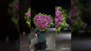 ♥️🥰новая 😘версия песня ♥️🥰малебора🩷✨ цыганская😍 ашугэн  ♥️🥰пэ зурэстэ 🥰♥️зорики💫😘 бахтори♥️