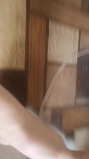 Обычный день зефирки
