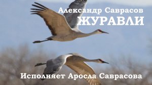Журавли - Александр Саврасов (исп. Аросла Саврасова)