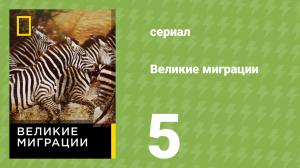 Великие миграции 1 сезон 5 серия (документальный сериал, 2010)