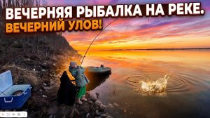 Лапти гнут удочки. Приехали с дочкой на вечернюю рыбалку.