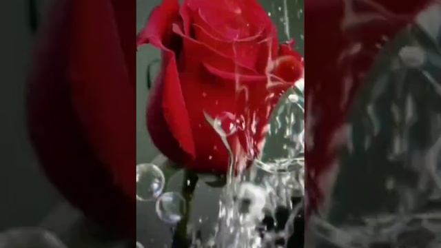 1000023900.mp4христианский канал