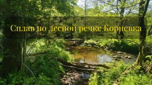 Невозможное возможно. Сплав по лесной речке Корневка, Калининградская область.