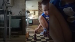 шахматы и баскетбол.