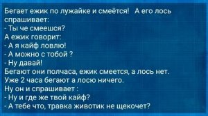 Анекдоты_про_Грузина,_Ежика,_Нового_Русского_и_Озабоченную_Даму!