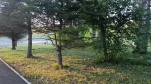 Река Иша