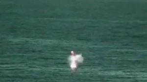 Россия скрывает баллистические ракеты на морском дне