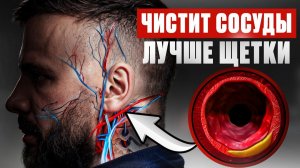 Как очистить сосуды от бляшек и тромбов за 5 простых шагов (Михаил Маханов)
