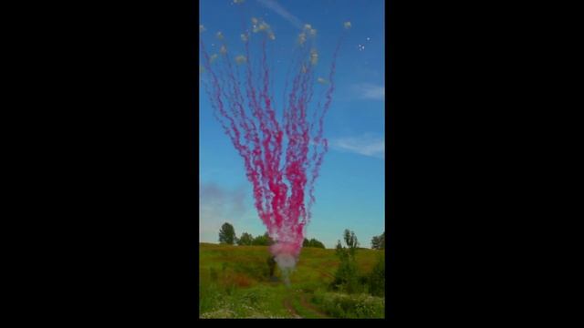 БСП1602512 Дневной Гендерный салют (розовый) смотреть онлайн
