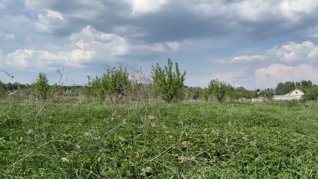 д. Ратчино