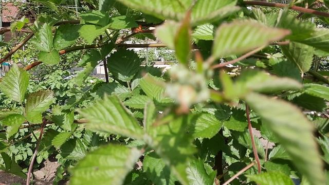 1-ый этап завершен, подводим результаты