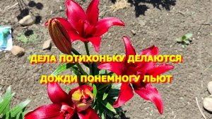 91.Переезд на Юг  Дела потихоньку делаются