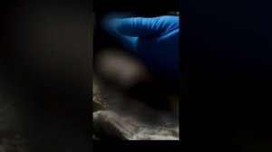 Хороший фильм на вечер !