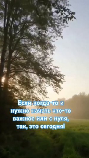 Сегодня