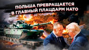 Пентагон в хаосе, Варшава в экстазе: восточный фланг НАТО закипает