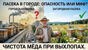 Опасно ли держать пасеку в городе? Чистота мёда при выхлопах | Профессор Кашковский 🏙️🍯