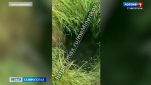 В Невинномысске обрушился канализационный коллектор