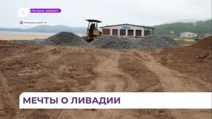 Общественность поселка Ливадия взбудоражена работами, которые начались на побережье