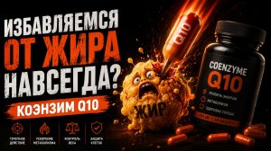 КОЭНЗИМ Q10: правда, маркетинг и где на самом деле работает эта молекула