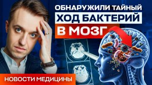 Жирная пища разрушает мозг? Разбираем новые исследования в области питания