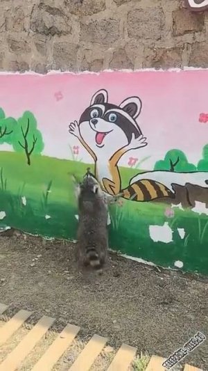 Нашёл друга