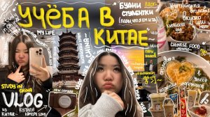 УЧЕБА В КИТАЕ  будни студента на магистратуре, нова камера, цветение сакуры , храм и тд  влог