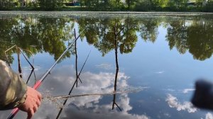 ТАКАЯ РЫБАЛКА ПРОСТО в КАЙФ.КАРАСИ дают АДРЕНАЛИНУ