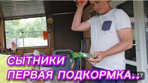 САМВЕЛ АДАМЯН, СЫТНИКИ, ПЕРВАЯ ПОДКОРМКА..