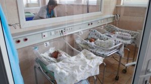 Депутаты Госдумы одобрили бесплатное ЭКО для жён ветеранов и вдов
