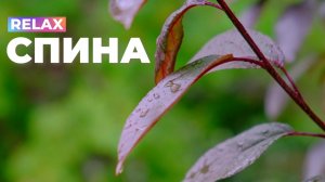 Здоровая спина. RELAX версия | Саблиминал