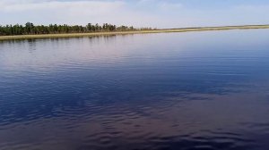 экспедиция на гуся весной