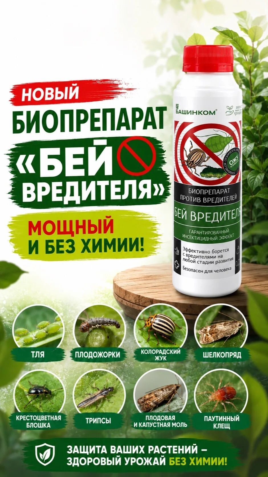 Вредители огорода, держитесь!  Биопрепарат Бей вредителя